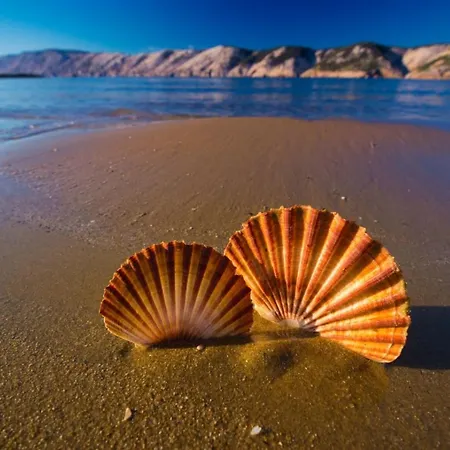 In With Sea View, Balcony, Air Conditioning, Wifi 4325-3 Apartment Supetarska Draga